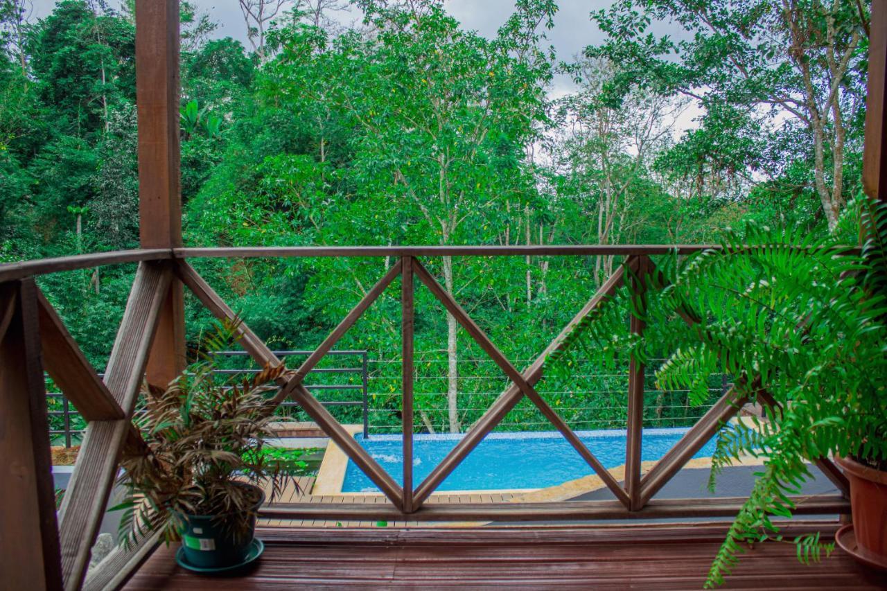 Eden Valley Ecolodge And Farming Madalena 外观 照片