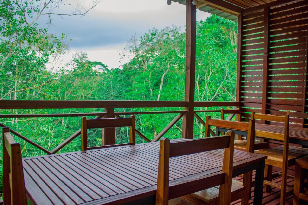 Eden Valley Ecolodge And Farming Madalena 外观 照片