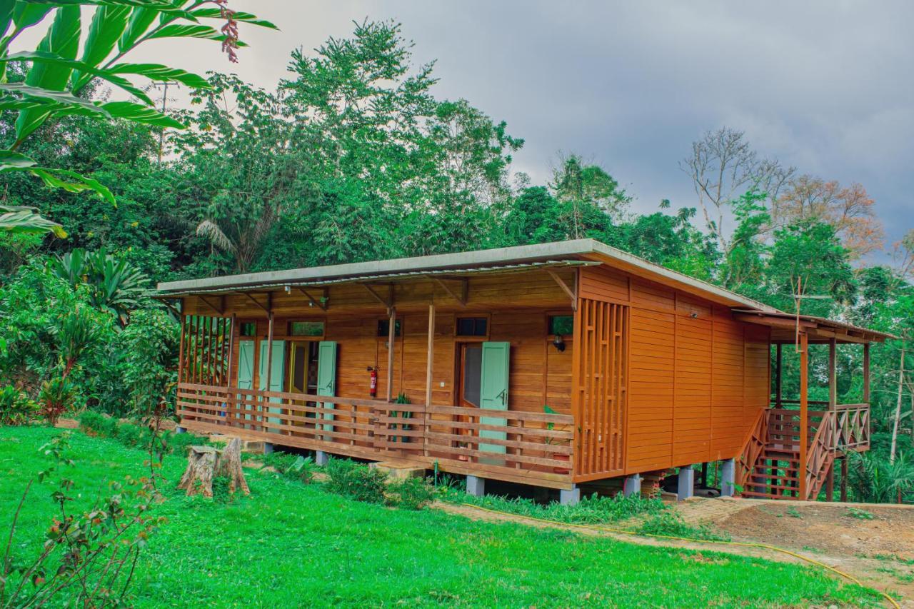 Eden Valley Ecolodge And Farming Madalena 外观 照片