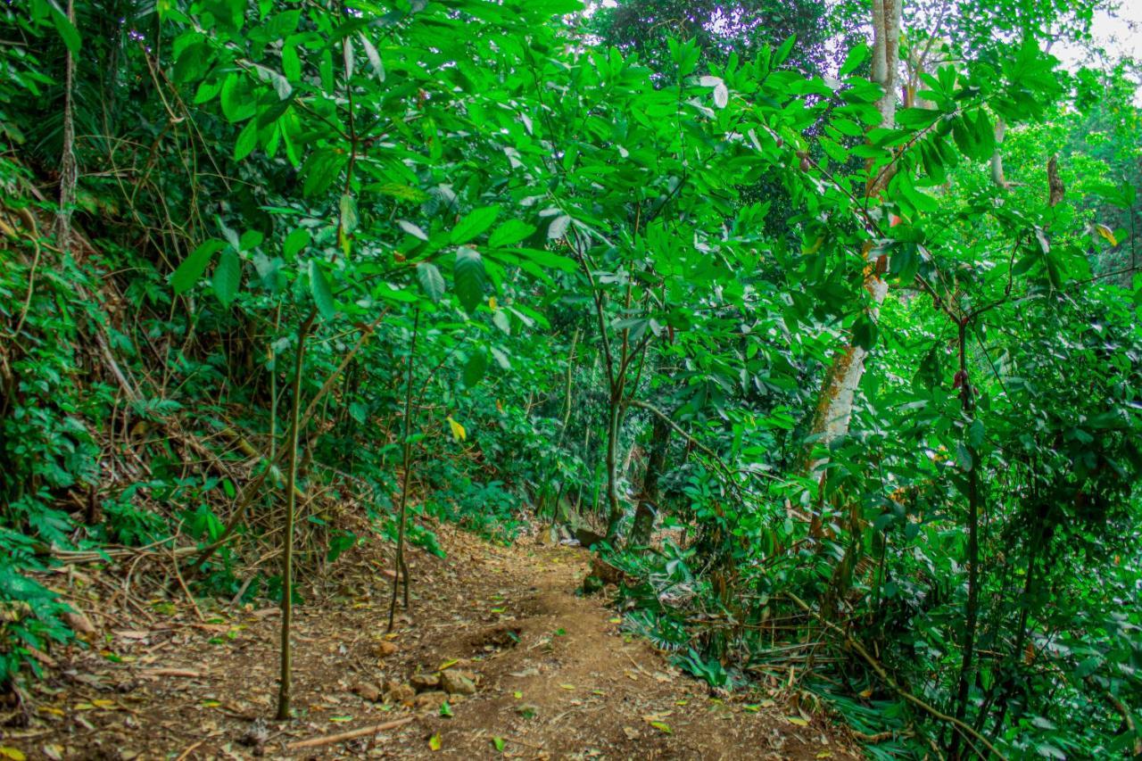 Eden Valley Ecolodge And Farming Madalena 外观 照片