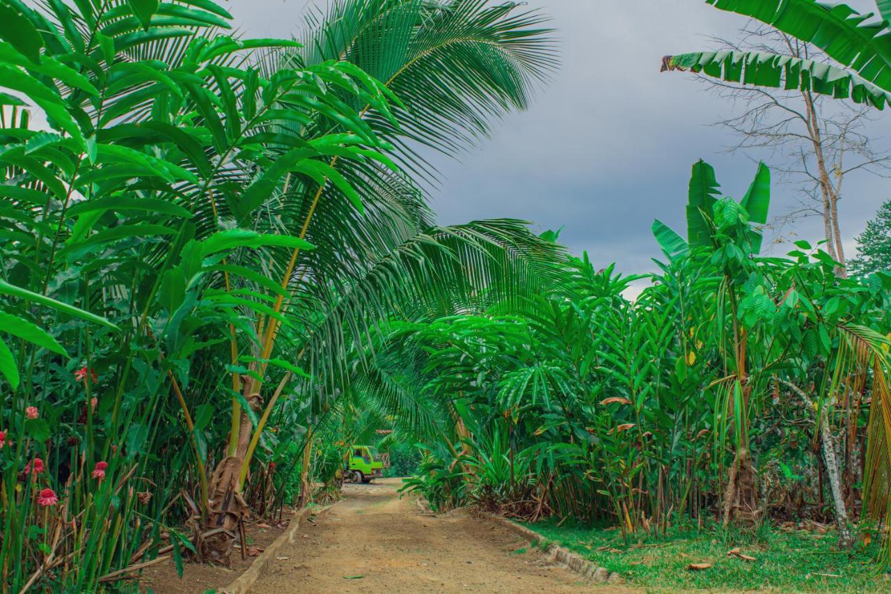 Eden Valley Ecolodge And Farming Madalena 外观 照片