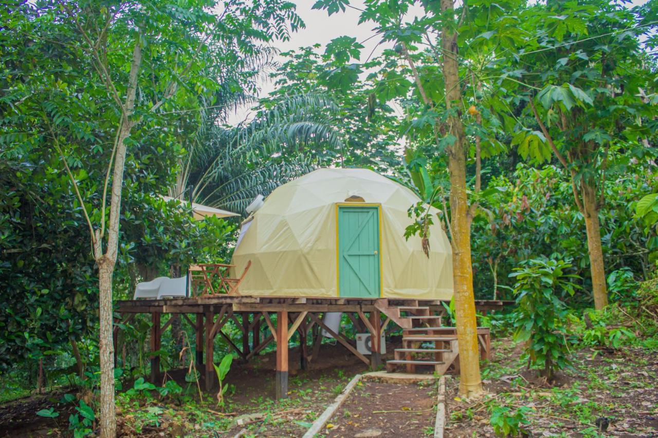 Eden Valley Ecolodge And Farming Madalena 外观 照片