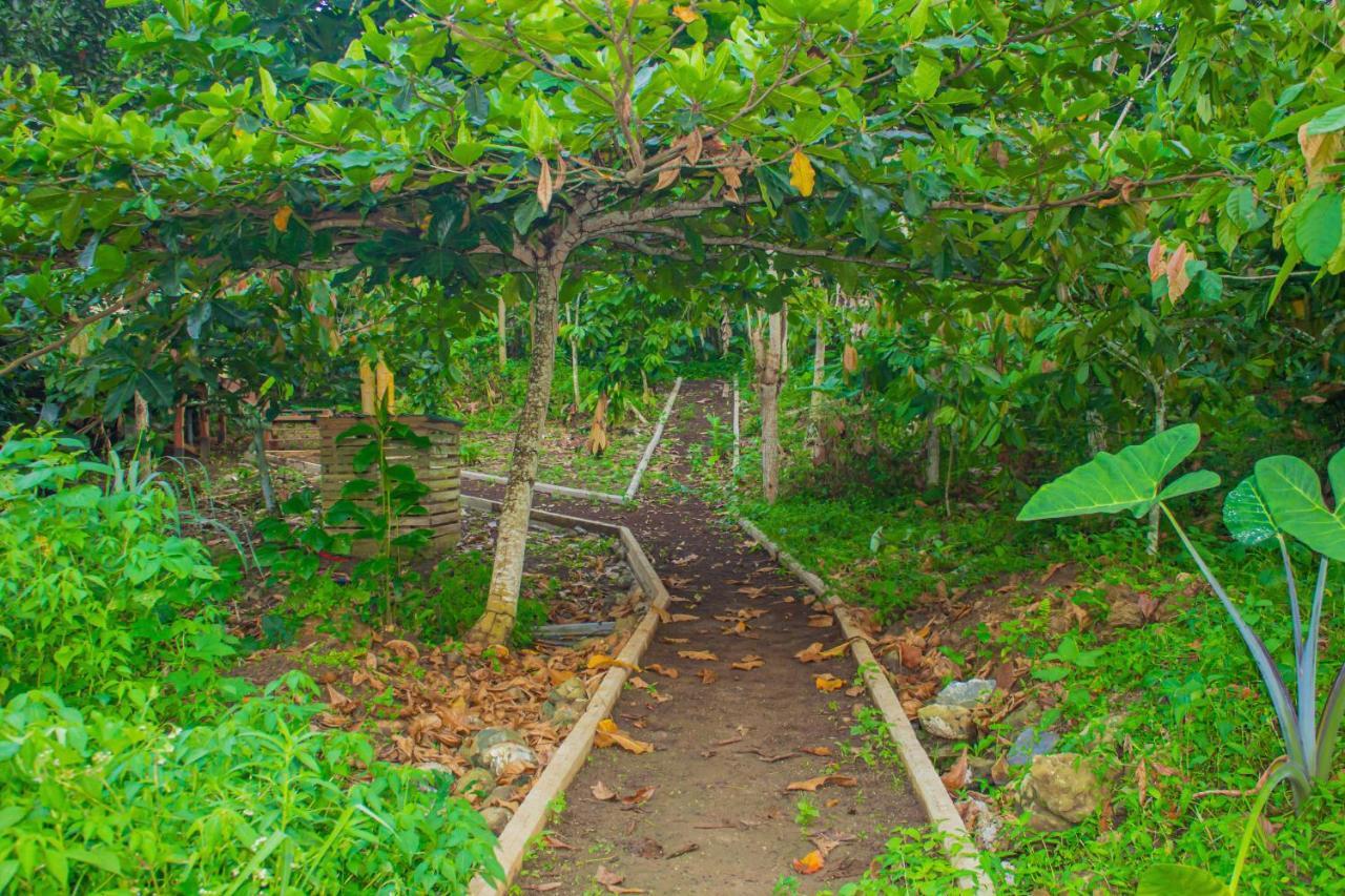 Eden Valley Ecolodge And Farming Madalena 外观 照片