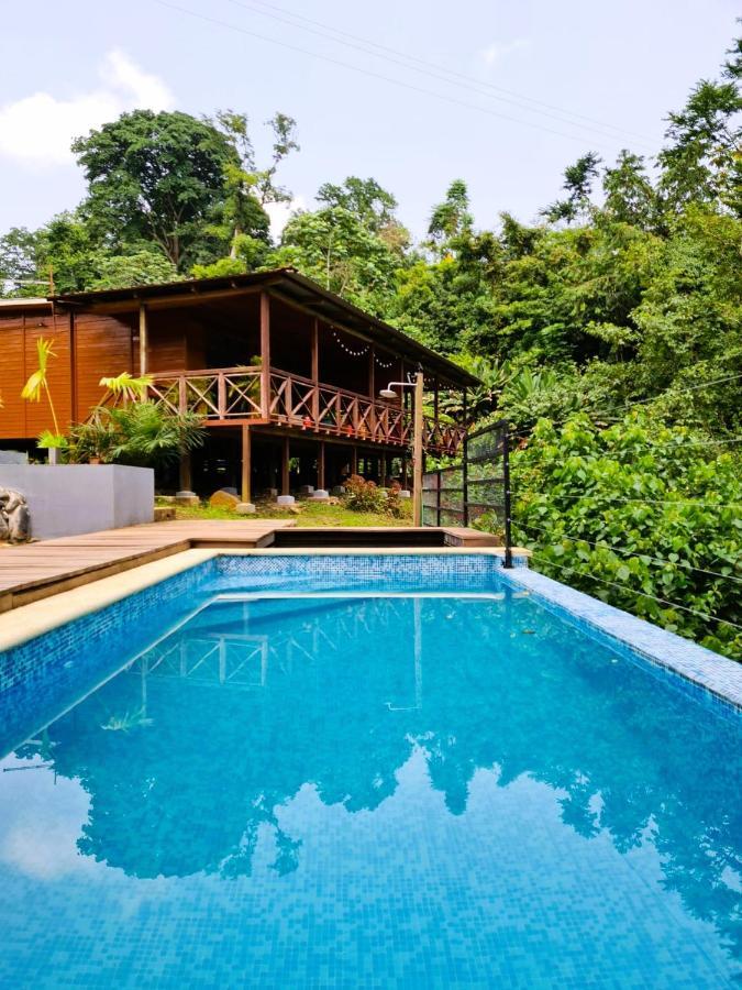 Eden Valley Ecolodge And Farming Madalena 外观 照片
